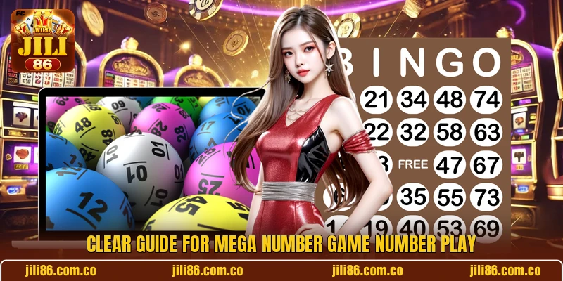 Clear guide for Mega Number Game number play