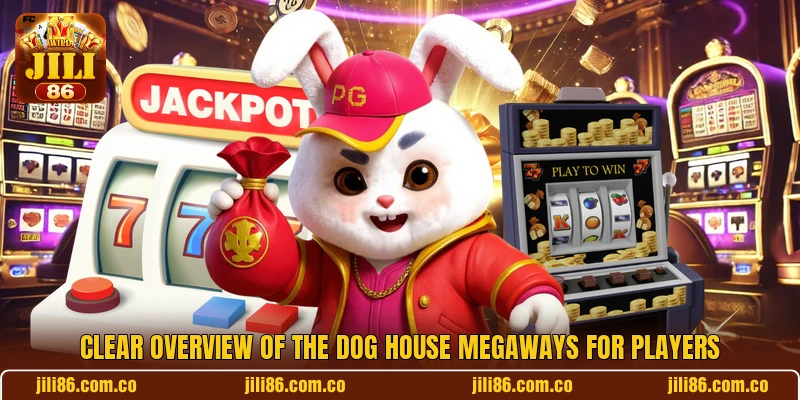 Clear overview of The Dog House Megaways for players